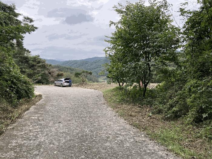 경상남도 의령군 지정면 득소리 산47 임야 경매 사진 29