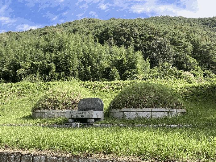 경상남도 의령군 지정면 득소리 산47 임야 경매 사진 3