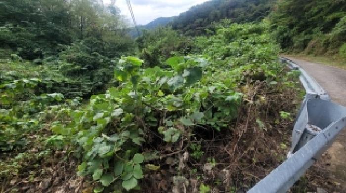 경상남도 의령군 지정면 득소리 산47 임야 경매 사진 46