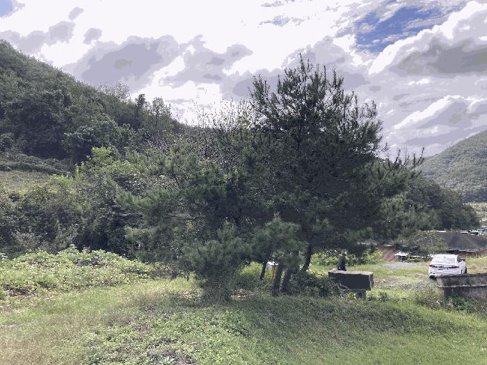 경상남도 의령군 지정면 득소리 산47 임야 경매 사진 7