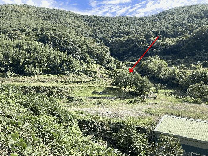 경상남도 의령군 지정면 득소리 산47 임야 경매 사진 8