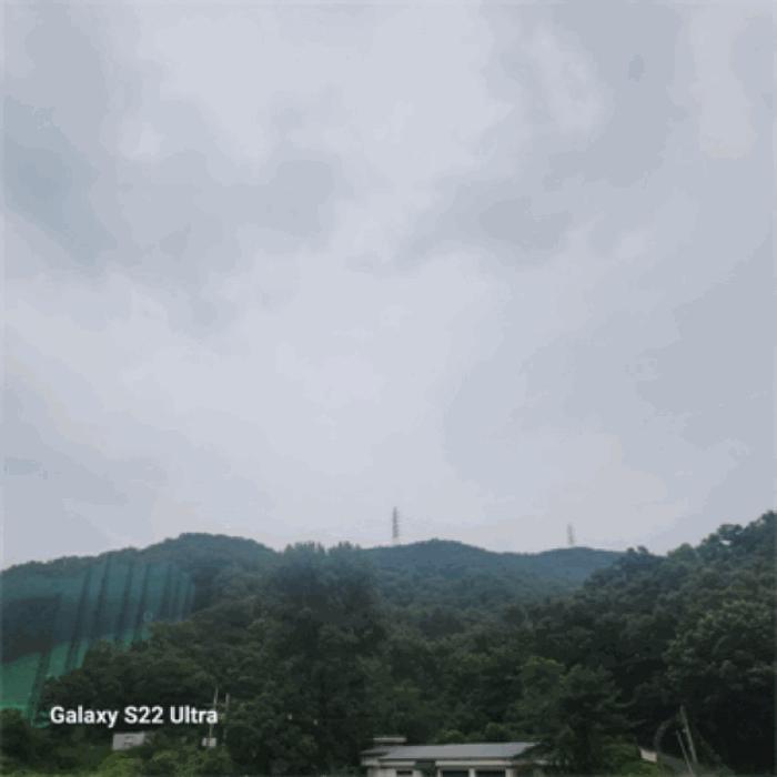 경기도 광주시 초월읍 지월리 산55-5 임야 경매 사진 1