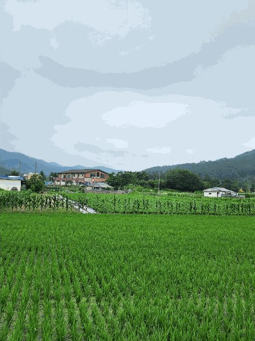 충청북도 충주시 산척면 송강리 1441-1 근린주택 경매 사진 1
