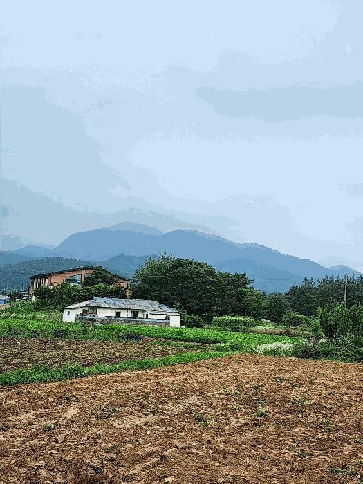 충청북도 충주시 산척면 송강리 1441-1 근린주택 경매 사진 11