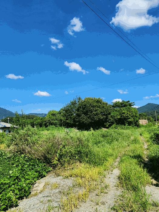 충청북도 충주시 산척면 송강리 1441-1 근린주택 경매 사진 3