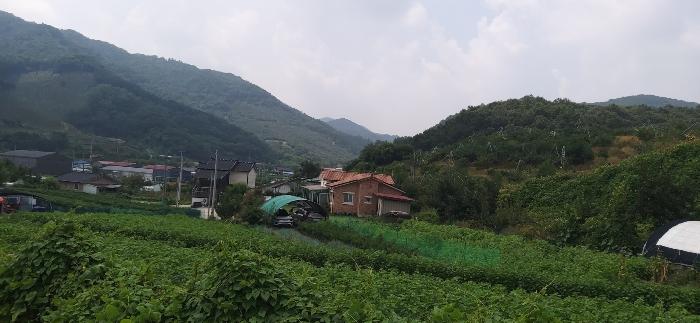 충청북도 충주시 가주동 산67-2 임야 경매 사진 14