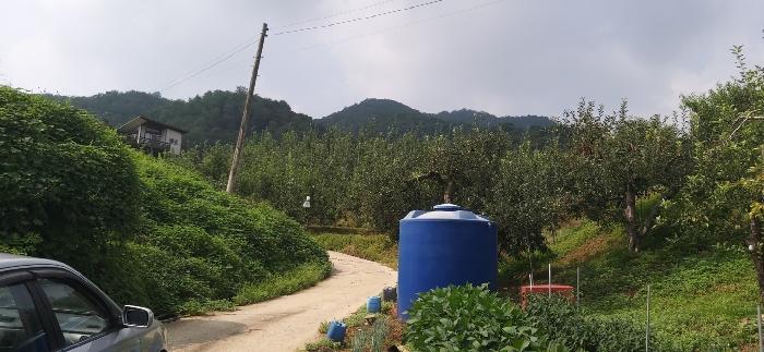 충청북도 충주시 용관동 산28-1 임야 경매 사진 16