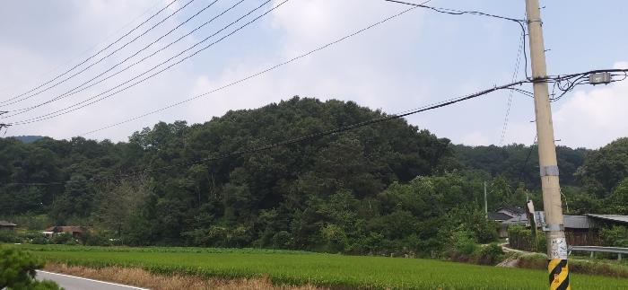 충청북도 충주시 용관동 383-14 과수원 경매 사진 7