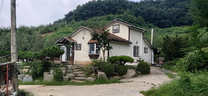 충청북도 충주시 용관동 산31 임야 경매 사진 1