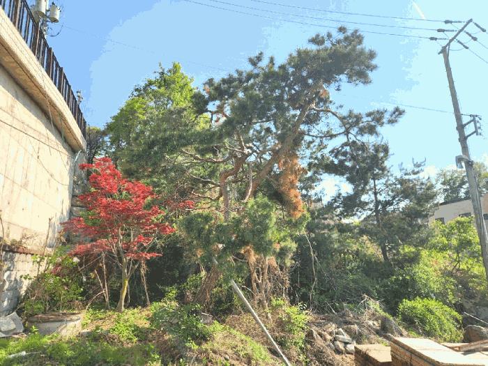 경기도 광주시 신현동 304 대지 경매 사진 5