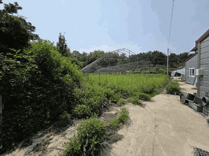 충청북도 음성군 금왕읍 구계리 604 창고 경매 사진 3