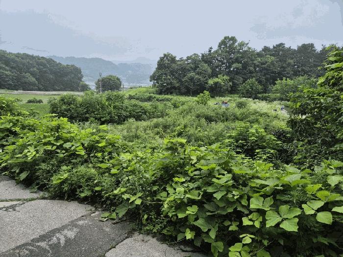 충청북도 음성군 원남면 문암리 1144 답 경매 사진 2