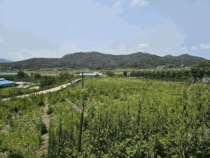 경상북도 포항시 북구 기계면 화봉리 307-1 전 경매 사진 1