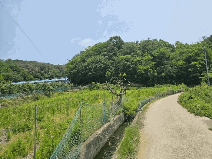 경상북도 포항시 북구 기계면 화봉리 307-1 전 경매 사진 3