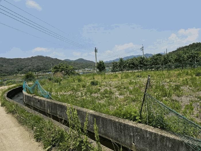 경상북도 포항시 북구 기계면 화봉리 307-1 전 경매 사진 4