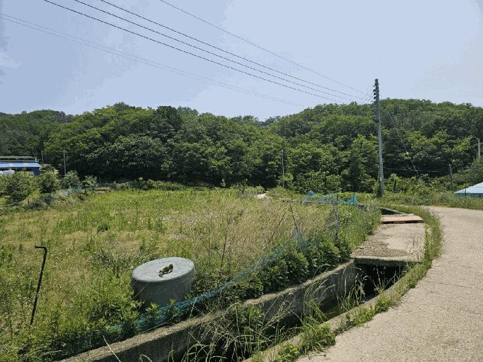 경상북도 포항시 북구 기계면 화봉리 307-1 전 경매 사진 6