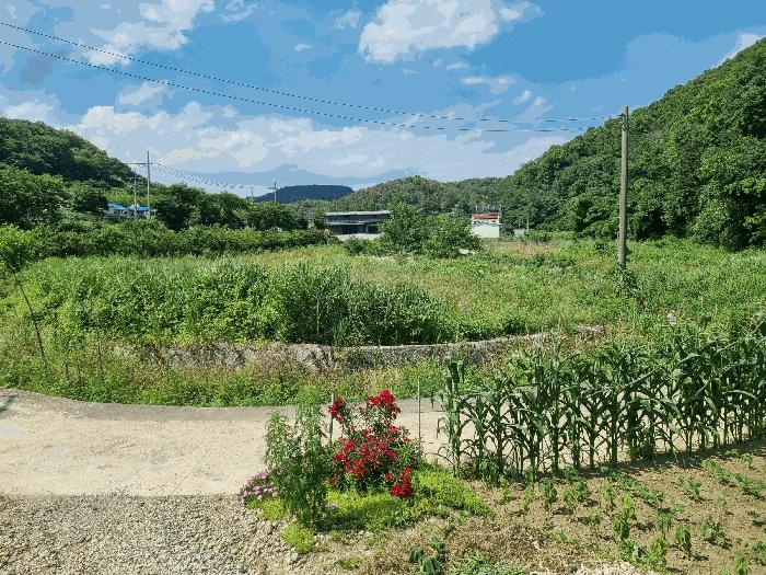 경상북도 포항시 남구 동해면 상정리 346 답 경매 사진 2