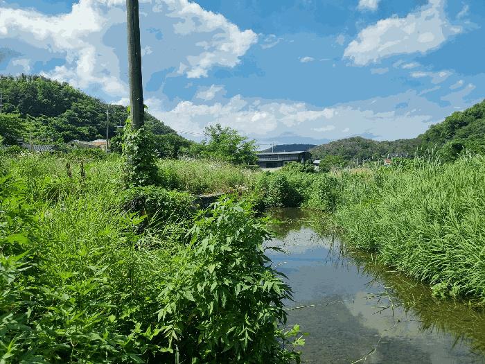 경상북도 포항시 남구 동해면 상정리 346 답 경매 사진 3
