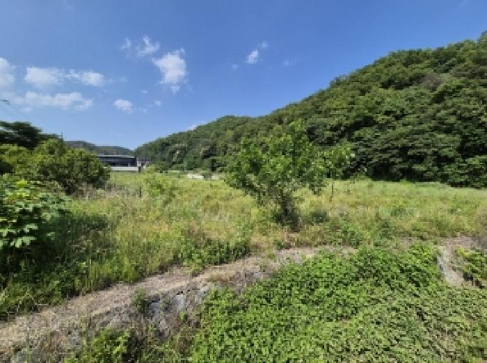 경상북도 포항시 남구 동해면 상정리 346 답 경매 사진 5