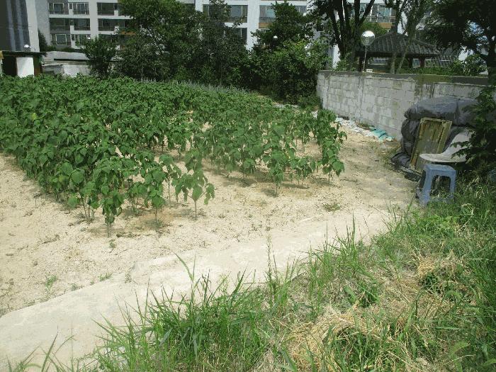 경상북도 포항시 남구 오천읍 구정리 486 하천 경매 사진 15