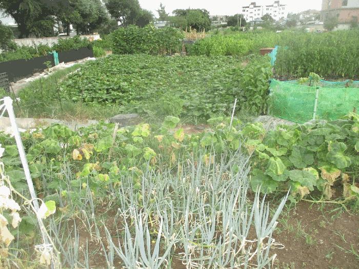 경상북도 포항시 남구 오천읍 구정리 486 하천 경매 사진 4