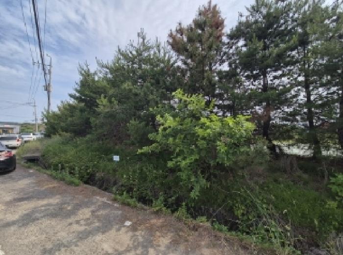 경상북도 포항시 남구 오천읍 세계리 641-2 답 경매 사진 9