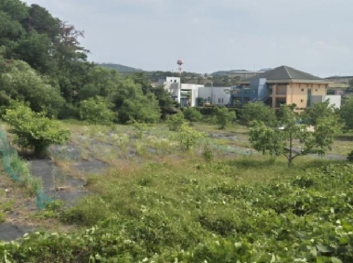 경상북도 포항시 남구 오천읍 세계리 611-9 답 경매 사진 15