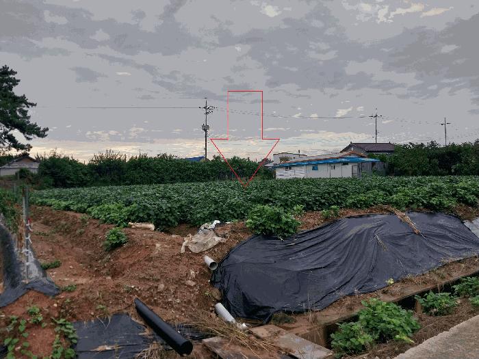 전북특별자치도 부안군 백산면 덕신리 854 답 경매 사진 1