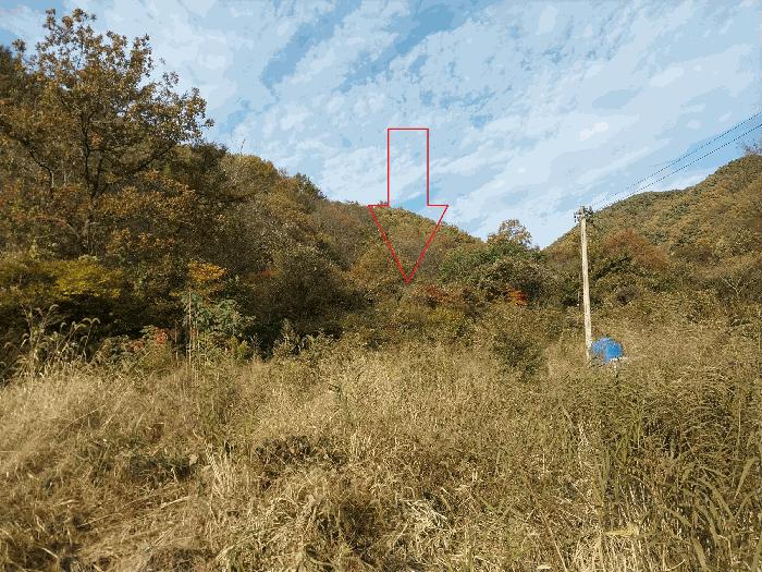 전북특별자치도 정읍시 신태인읍 구석리 384-2 답 경매 사진 1