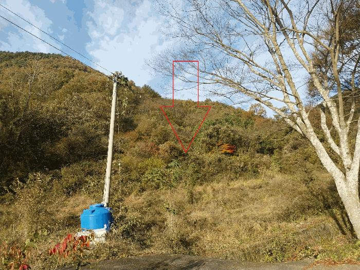 전북특별자치도 정읍시 신태인읍 구석리 384-2 답 경매 사진 4