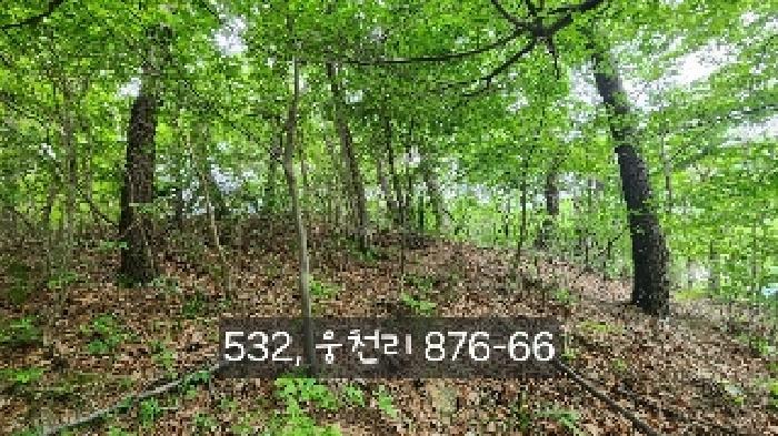부산광역시 기장군 철마면 웅천리 872-12 창고 경매 사진 10