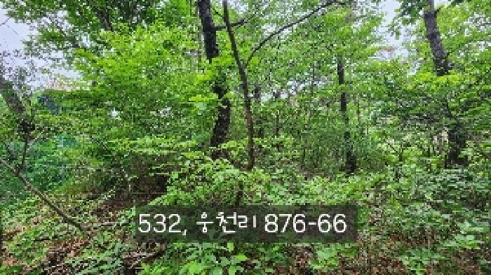 부산광역시 기장군 철마면 웅천리 872-12 창고 경매 사진 11