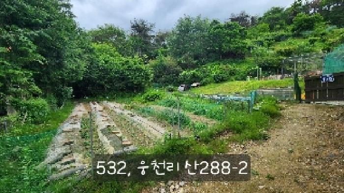 부산광역시 기장군 철마면 웅천리 872-12 창고 경매 사진 12