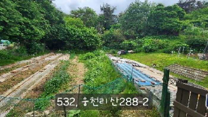 부산광역시 기장군 철마면 웅천리 872-12 창고 경매 사진 13