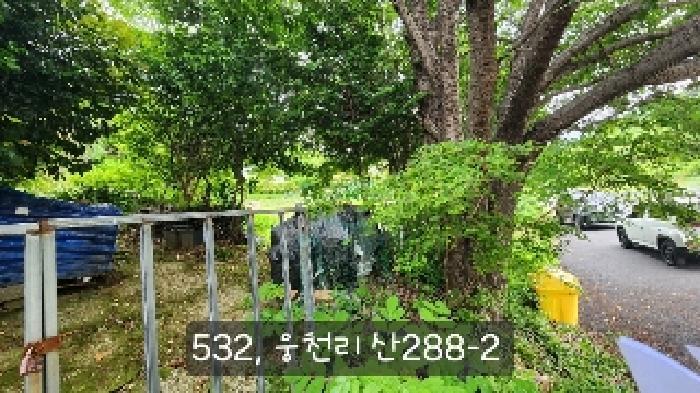 부산광역시 기장군 철마면 웅천리 872-12 창고 경매 사진 14