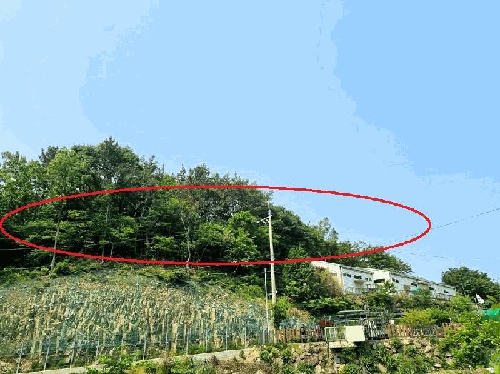 부산광역시 기장군 철마면 웅천리 872-12 창고 경매 사진 2