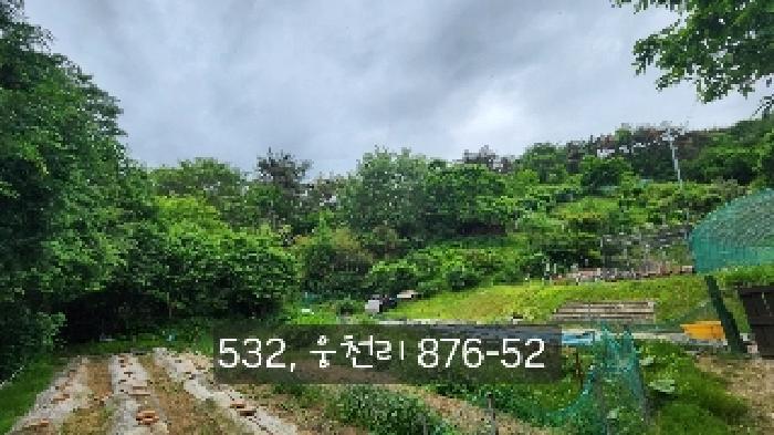 부산광역시 기장군 철마면 웅천리 872-12 창고 경매 사진 20