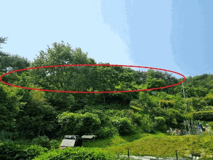 부산광역시 기장군 철마면 웅천리 872-12 창고 경매 사진 4