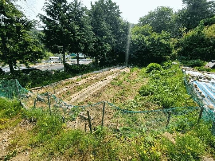 부산광역시 기장군 철마면 웅천리 872-12 창고 경매 사진 7