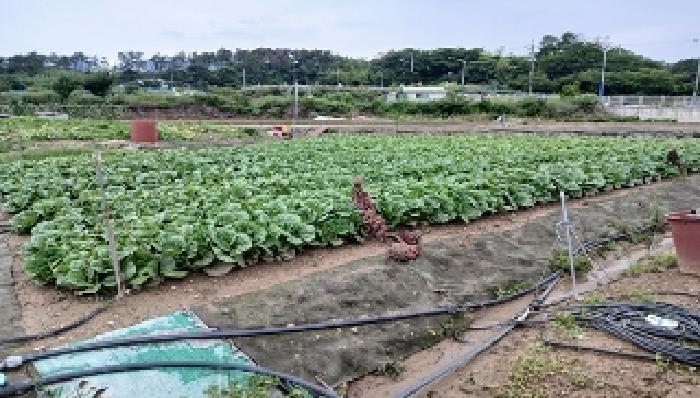 부산광역시 기장군 일광읍 문중리 141 답 경매 사진 7
