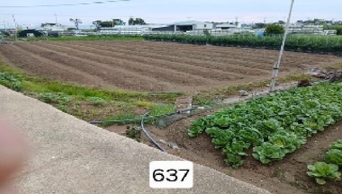 부산광역시 기장군 일광읍 문중리 141 답 경매 사진 8