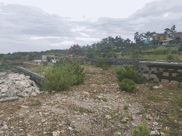 전북특별자치도 부안군 변산면 운산리 531-108 임야 경매 사진 5