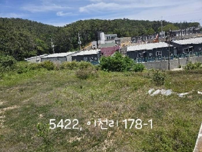 부산광역시 기장군 일광읍 이천리 176-1 답 경매 사진 7