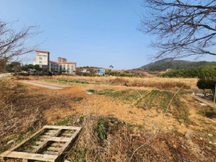 전북특별자치도 부안군 변산면 마포리 647-1 답 경매 사진 10