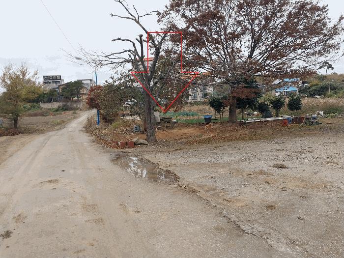 전북특별자치도 부안군 변산면 마포리 647-1 답 경매 사진 3