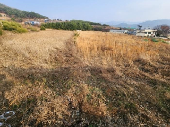 전북특별자치도 부안군 변산면 마포리 647-1 답 경매 사진 7