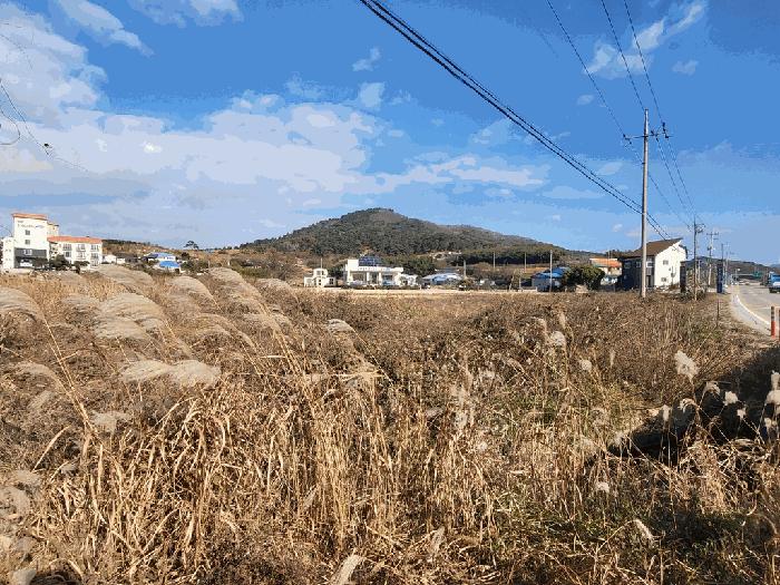 전북특별자치도 부안군 변산면 마포리 664-89 답 경매 사진 4