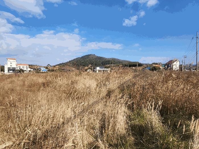 전북특별자치도 부안군 변산면 마포리 664-89 답 경매 사진 5