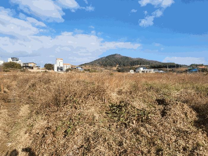 전북특별자치도 부안군 변산면 마포리 664-89 답 경매 사진 6