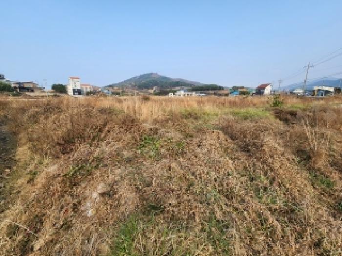 전북특별자치도 부안군 변산면 마포리 664-89 답 경매 사진 7
